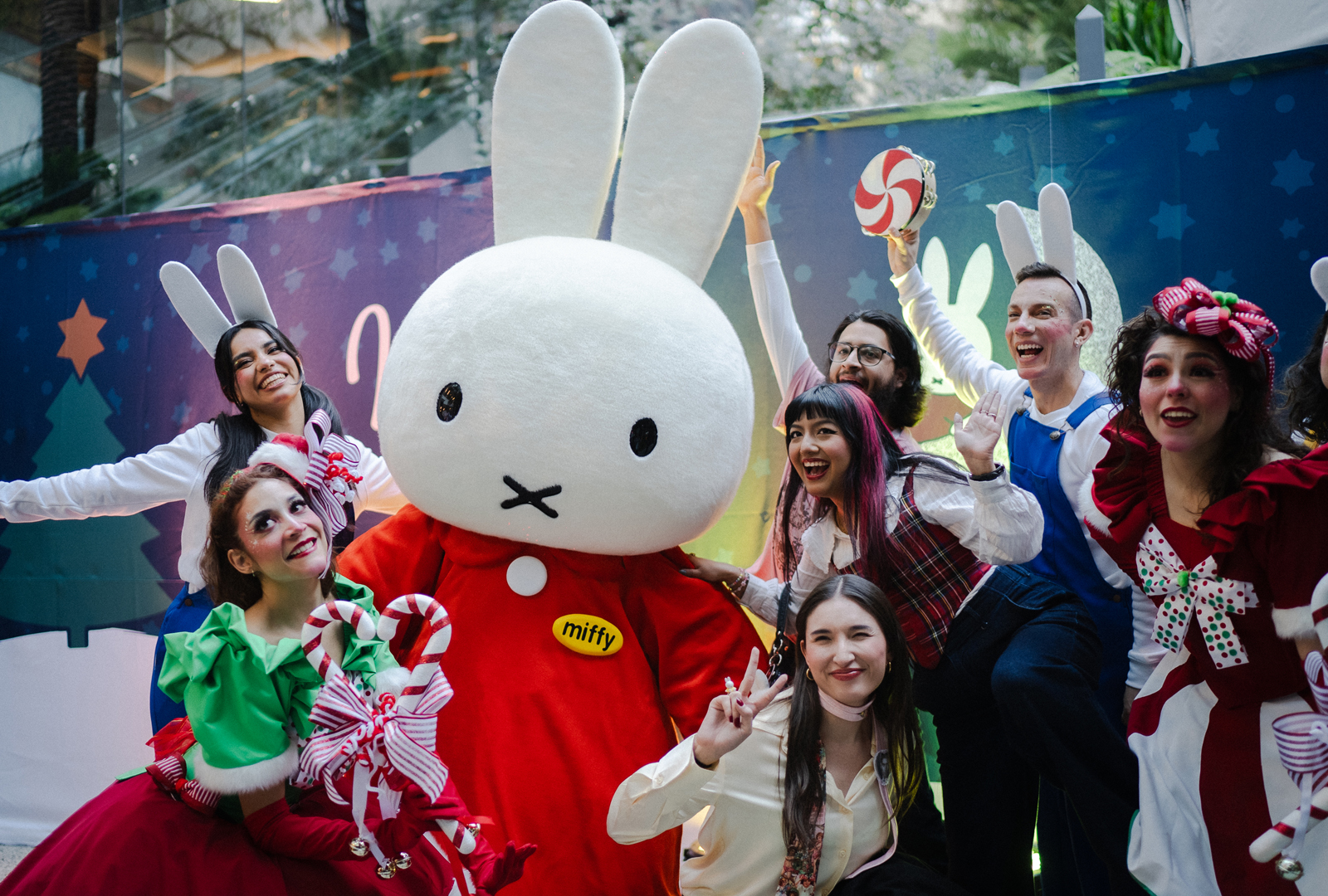 MIFFY_LICENCIA OFICIAL